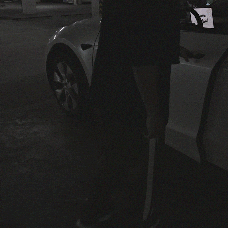 Model Y/3 Door Light Projector with Space Martian Style Puddle Lights for Tesla