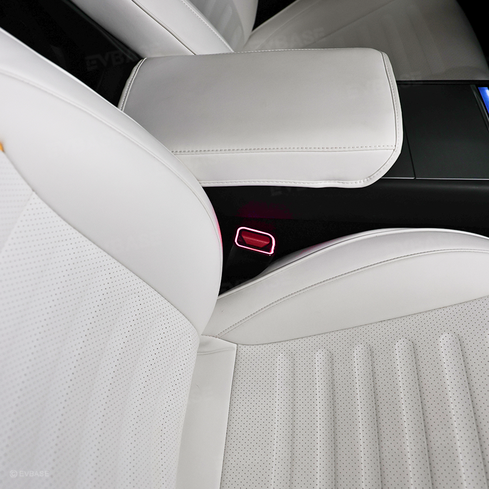 Model 3 Highland Interior Ambient Lighting Kit RGB LED Light Strips Neon Lights with Factory Screen Control