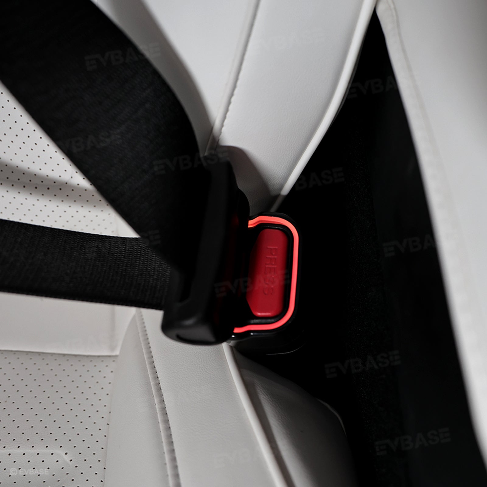 Model 3 Highland Interior Ambient Lighting Kit RGB LED Light Strips Neon Lights with Factory Screen Control