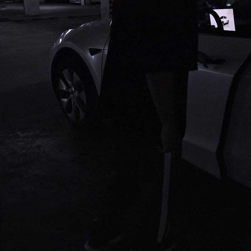 Model Y/3 Door Light Projector with Space Martian Style Puddle Lights for Tesla