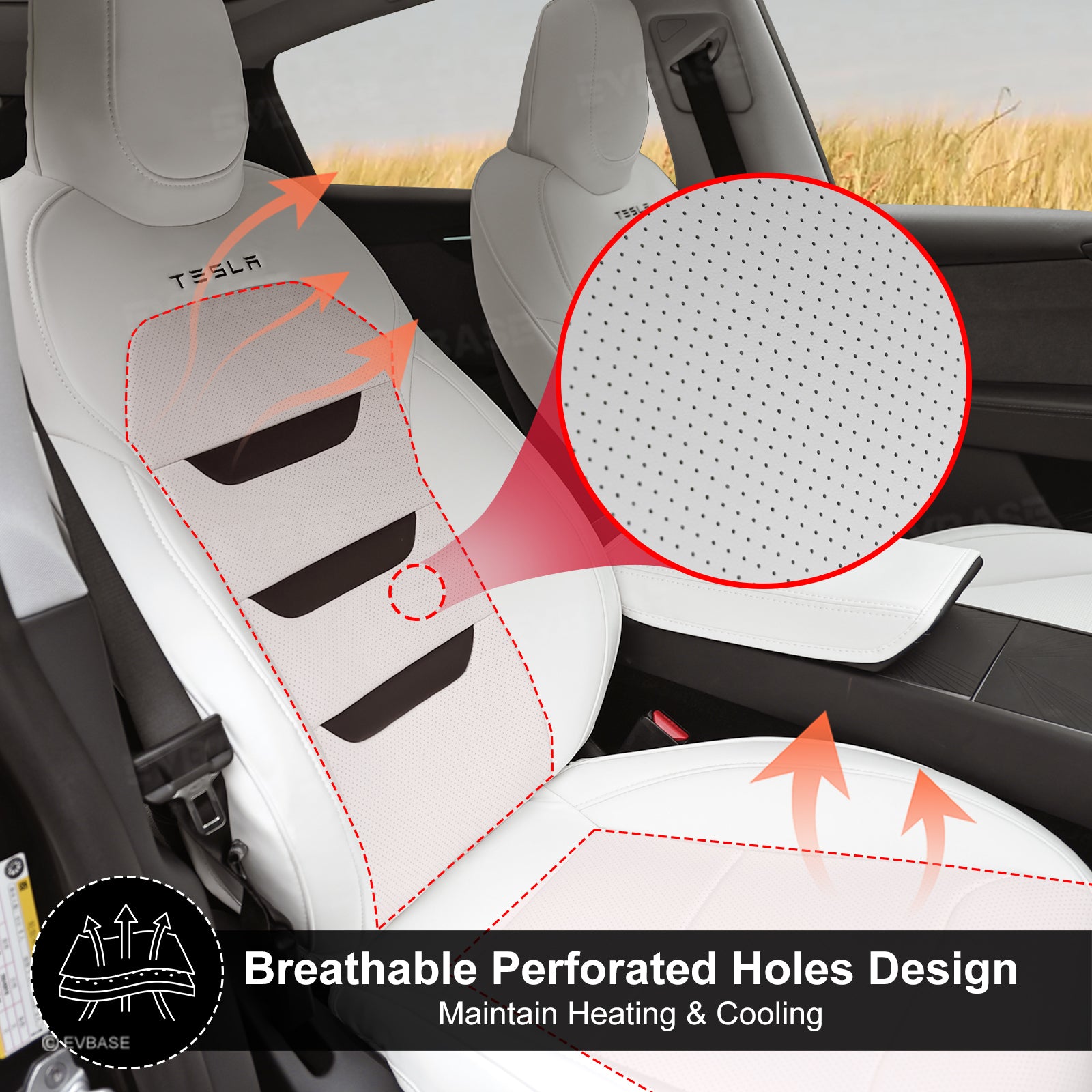 Model Y Juniper Seat Covers NAPPA Leather Full Coverage Seat Protector with Tesla Style Lettering