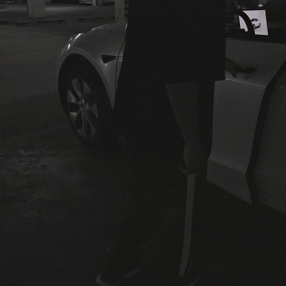 Model Y/3 Door Light Projector with Space Martian Style Puddle Lights for Tesla