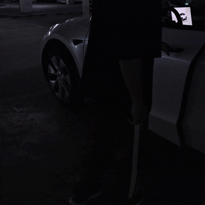 Model Y/3 Door Light Projector with Space Martian Style Puddle Lights for Tesla