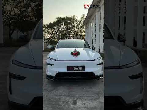 Christmas Holiday Car Decor Headrest Hat LED Christmas Wreath Lighted Snowman Plush Figurines 3D Xmas Emblem Stickers for Tesla