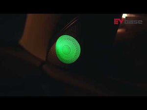 Tesla Model 3 Y Ambient Light Laser Etched LED 64 colors atmosphere light Tesla