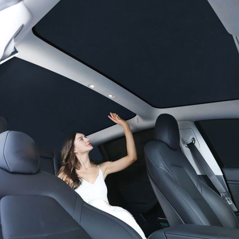 Tesla 3 Interior Roof | Cabinets Matttroy